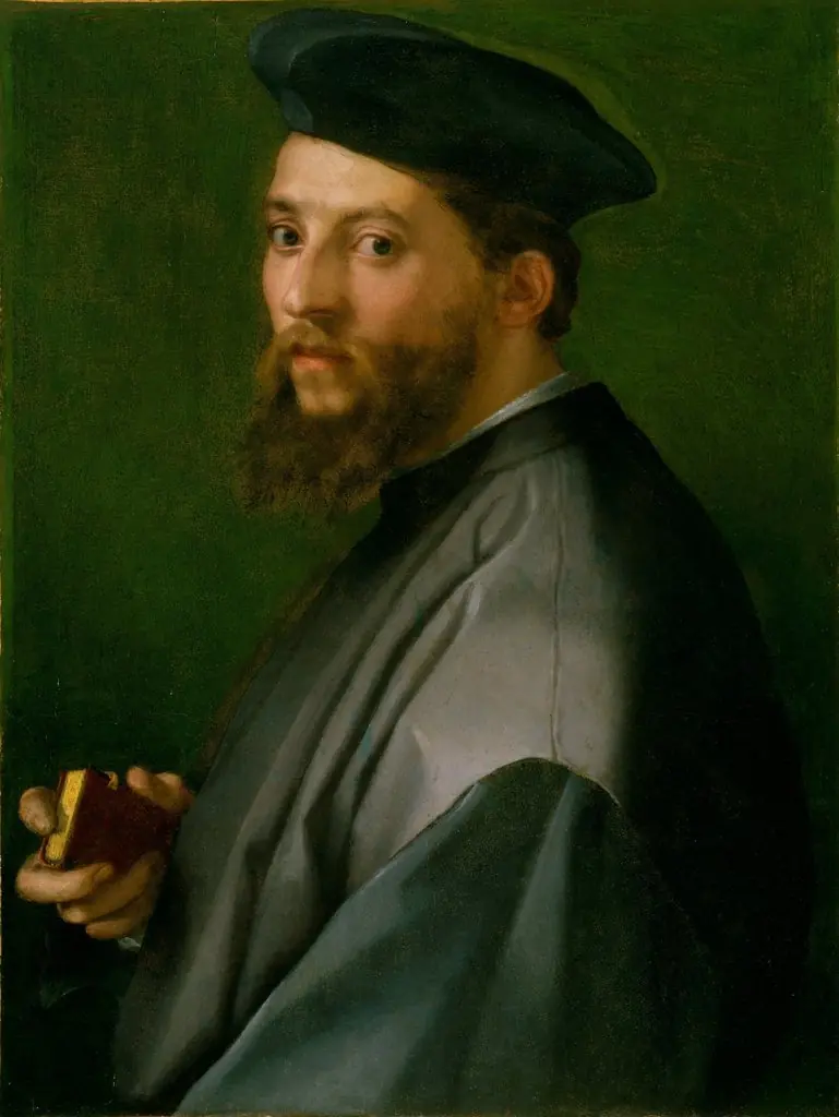 Portrait of a Man, by Andrea del Sarto