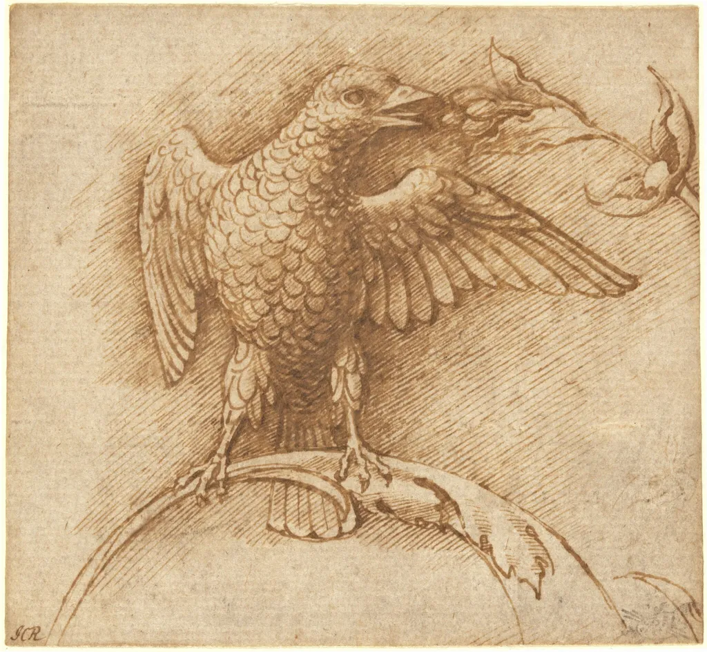 A Bird Perched on a Branch with Fruit, by Andrea Mantegna, ink, 1464
