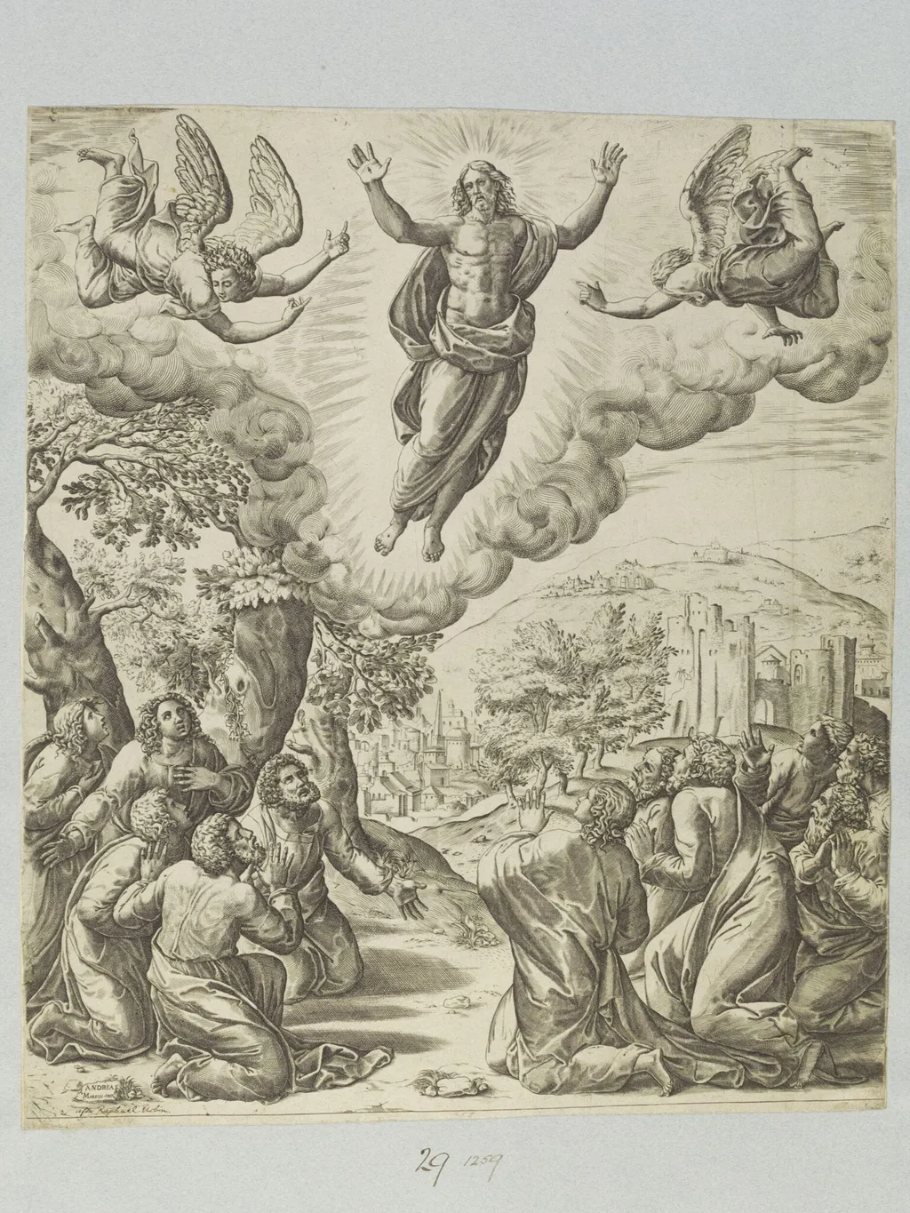 The Ascension, by Andrea Marelli, 1550