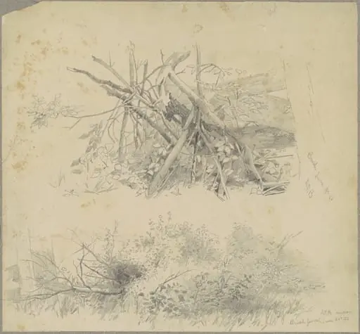 Brush; and Hudson Brush Fence, by Andrew Fisher Bunner