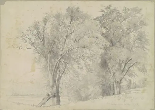 Elms, Hudson, by Andrew Fisher Bunner