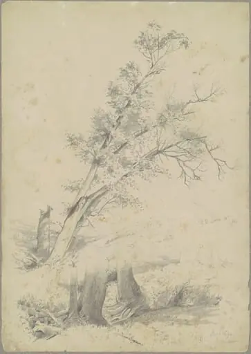 Trees, Hudson, by Andrew Fisher Bunner