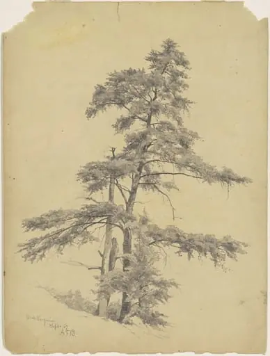 Trees, West Virginia, by Andrew Fisher Bunner