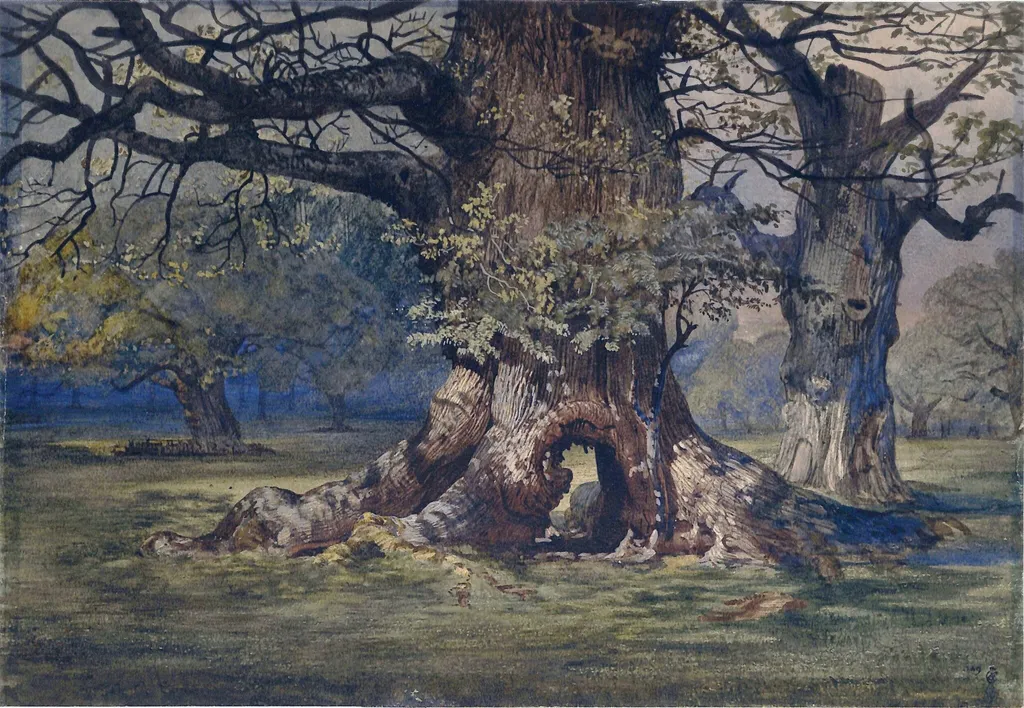 Old Oak at Windsor, by Andrew MacCullum, watercolor, 1850