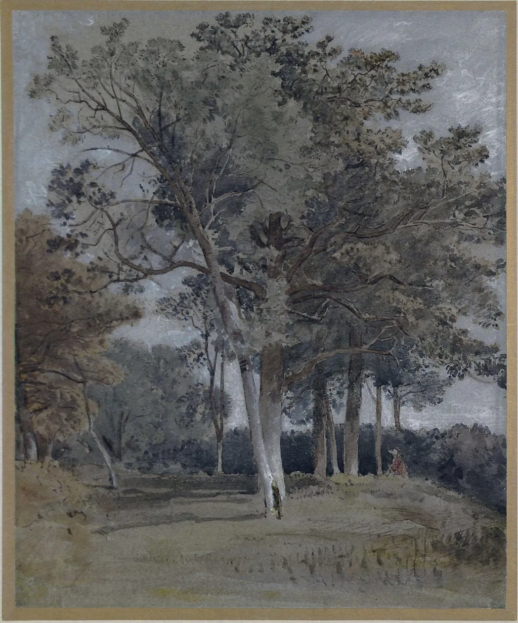 Study of trees at Ballater, Aberdeenshire, by Andrew Wilson, watercolor, 1850
