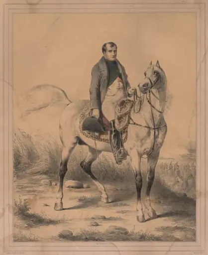 Napoleon, by Ange-Louis Janet Lange