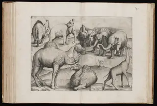 Animals from an Ancient Wall Painting [Plate III]