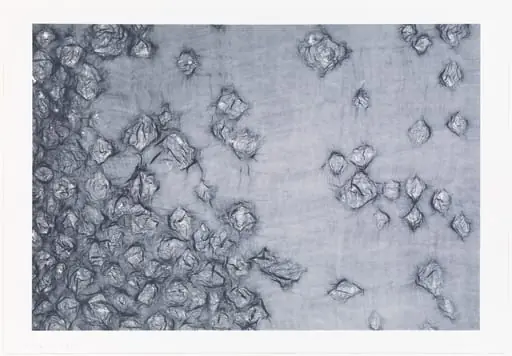 Untitled, by Ann Hamilton