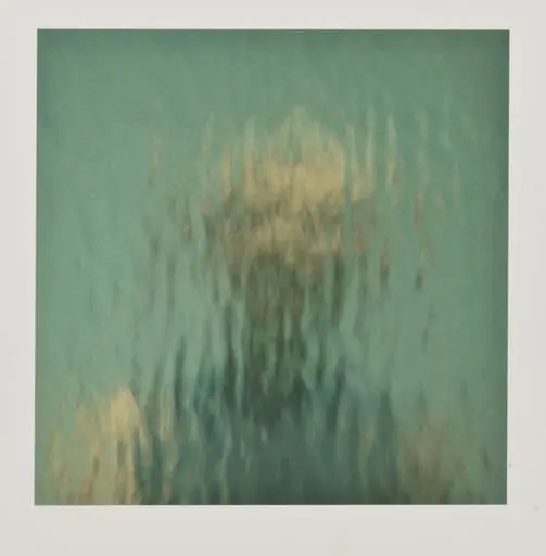 Untitled, by Ann Hamilton