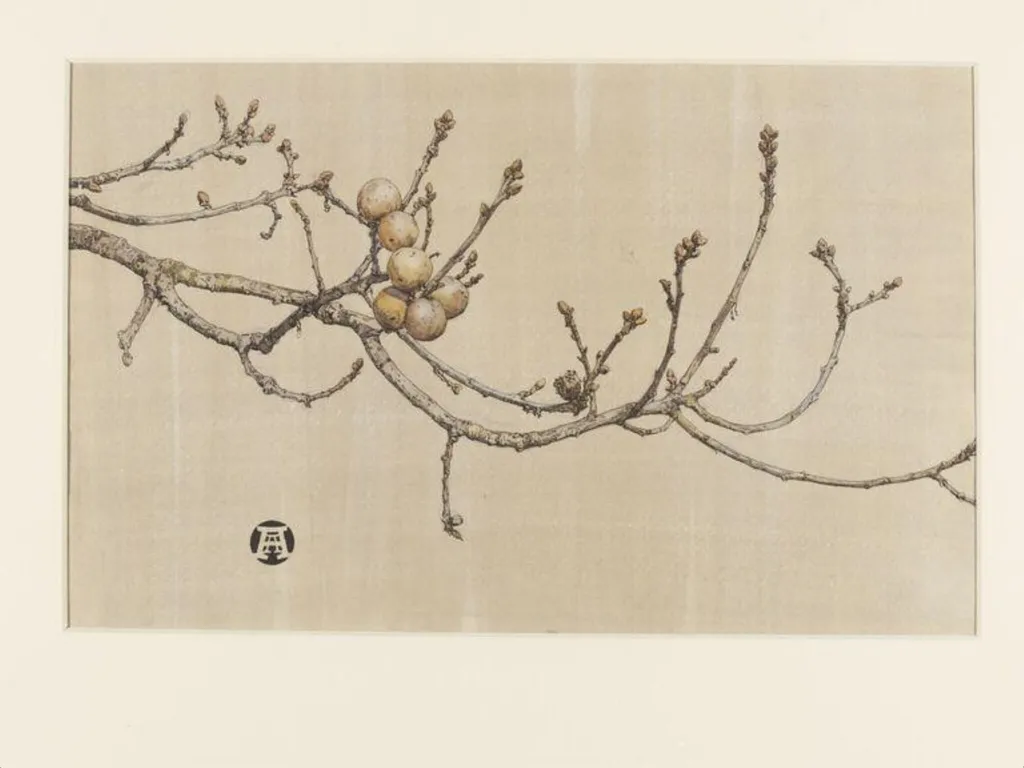 Oak apples, by Anna Airy, watercolor, 1907