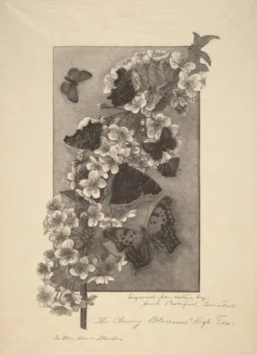 The Cherry Blossoms - High Tea, by Anna Botsford Comstock