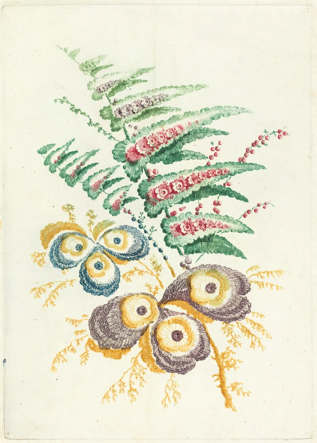 Fantastic Flowers with Oyster-shell Blossoms, by Anne Allen, ink