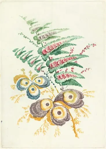 Fantastic Flowers with Oyster-shell Blossoms, by Anne Allen