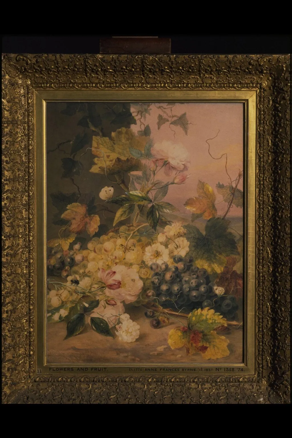 Flowers and Grapes, by Anne Frances Byrne, watercolor, 1826