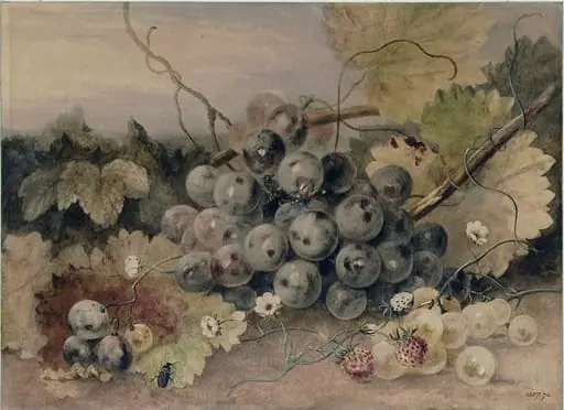 Anne Frances Byrne