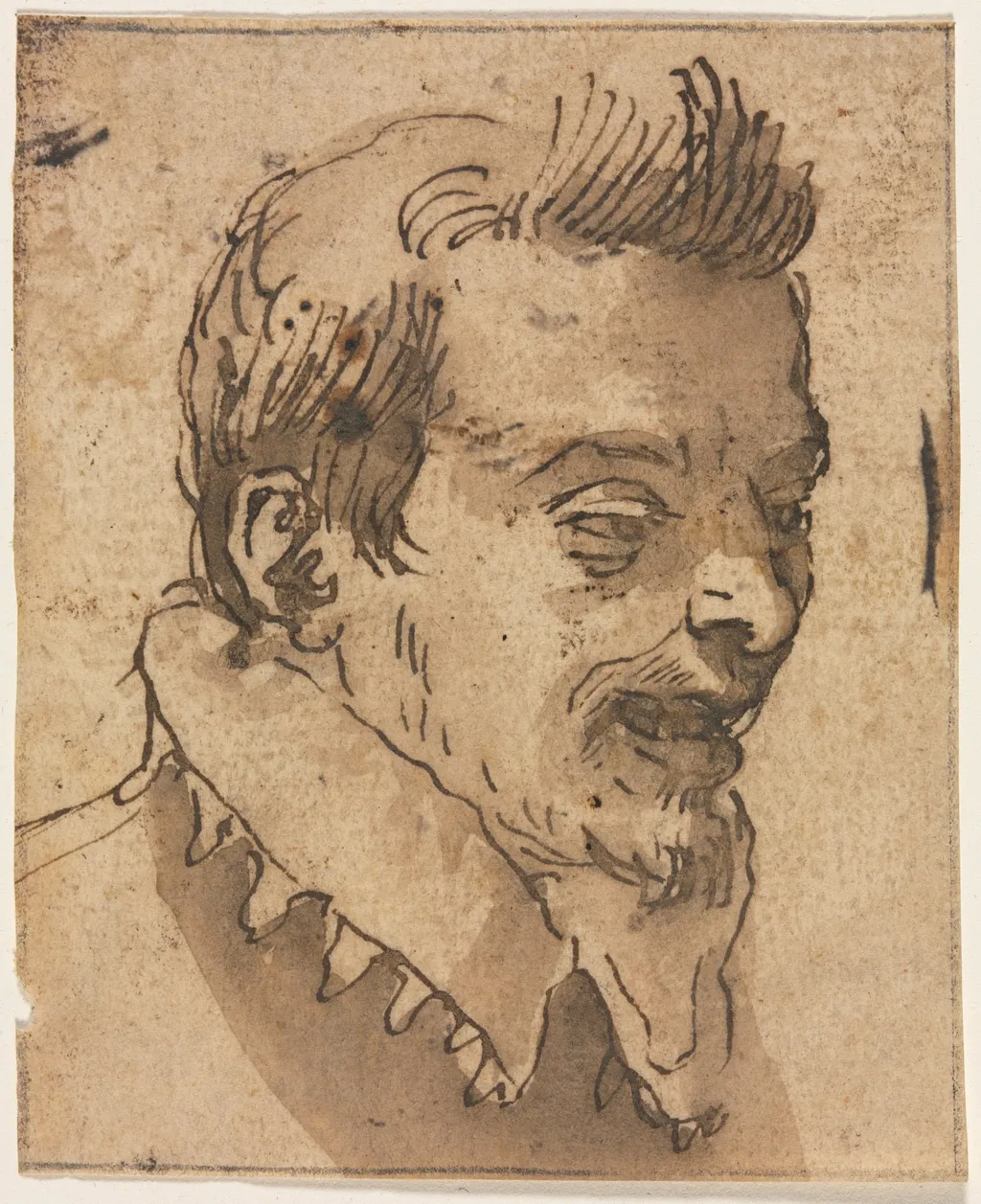 Head of a Man, by Annibale Carracci, 1504