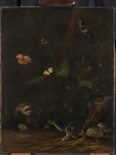 Animals and Plants, by Anthonie van Borssom