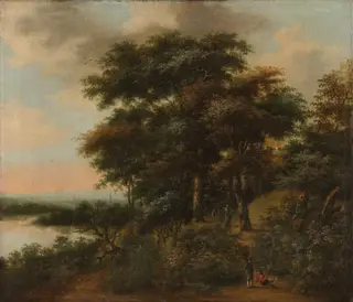 Wooded landscape