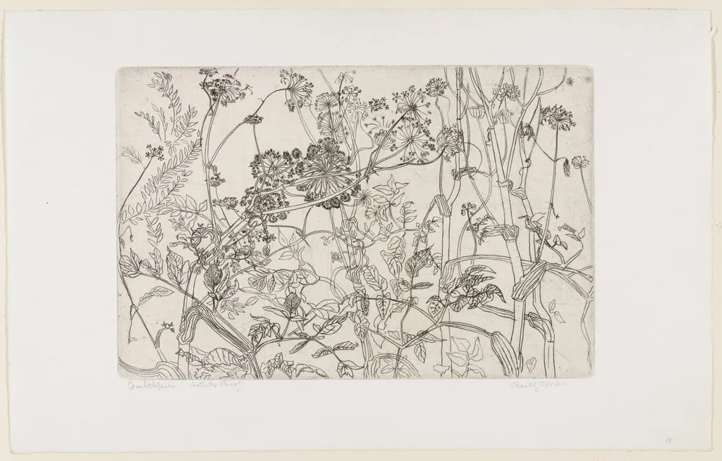 Untitled, by Anthony Gross, ink, 1952