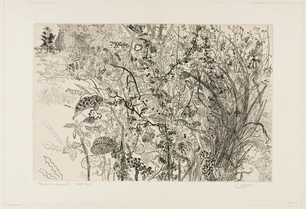 Untitled, by Anthony Gross, ink, 1950