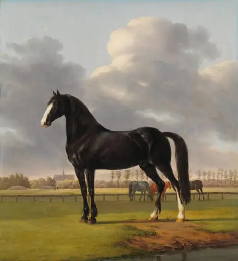 Adriaan van der Hoop&#8217;s Trotter &#8216;De Vlugge&#8217; (The Fast One) in a Meadow, by Anthony Oberman