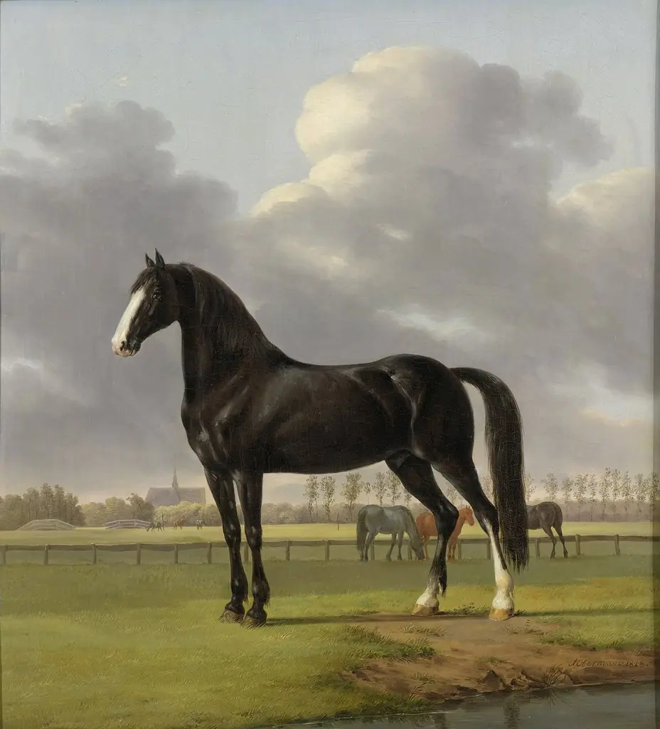 Adriaan van der Hoop’s Trotter ‘De Vlugge’ (The Fast One) in a Meadow, by Anthony Oberman
