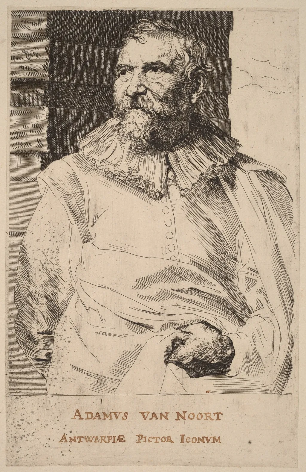 Adam van Noort, by Anthony van Dyck, ink, 1634