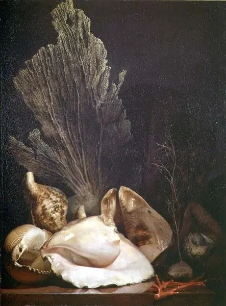 Still Life of Shells and Coral, by Antoine Berjon