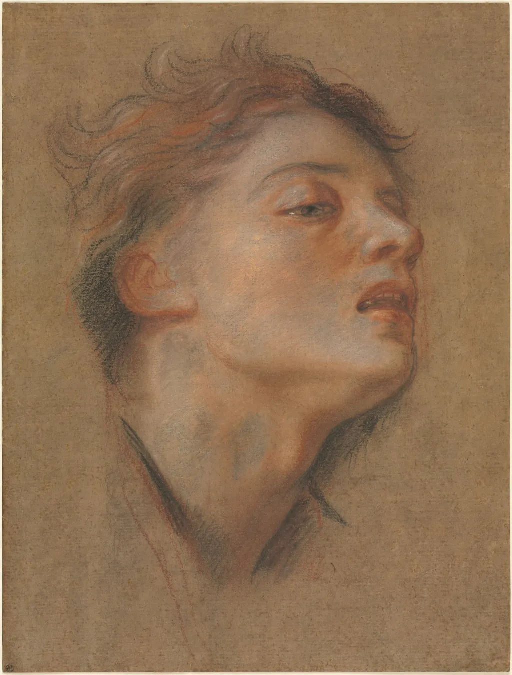 Head of a Young Man, by Antoine Coypel, 1716
