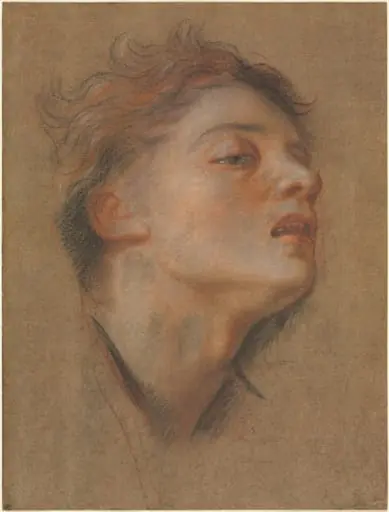 Head of a Young Man, by Antoine Coypel