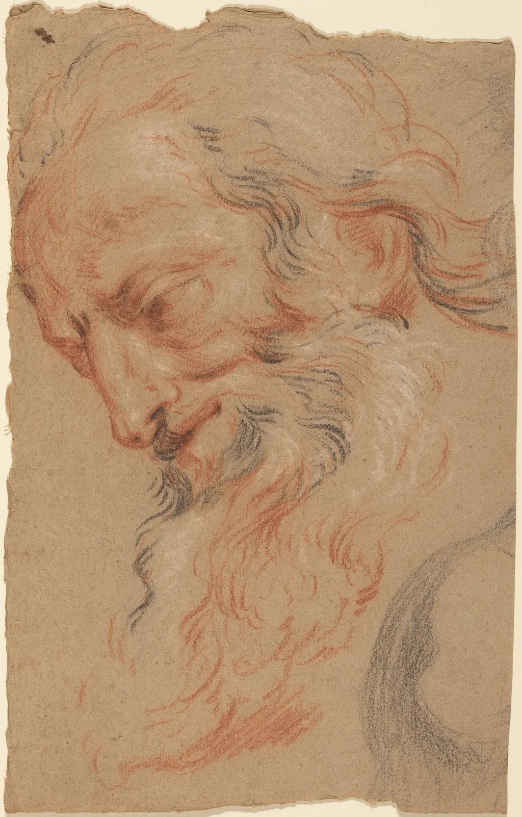 Head of an Old Man, by Antoine Coypel, chalk, 1716