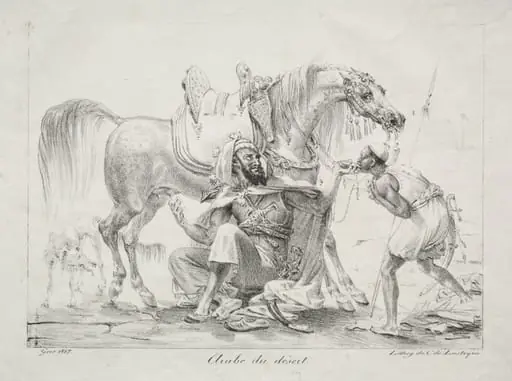 Arab of the Desert, by Antoine-Jean Gros
