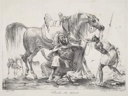 Arabe du désert (Desert Arab), by Antoine-Jean Gros