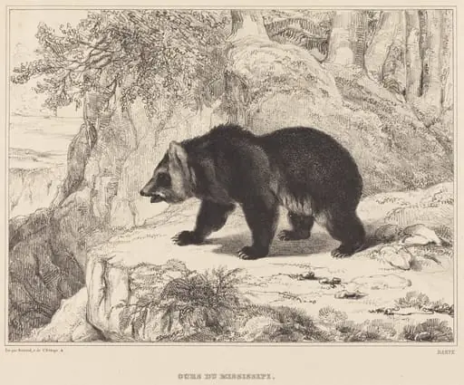 Mississippi Bear, by Antoine-Louis Barye