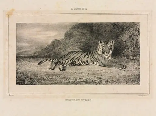 Study of a Tiger, by Antoine-Louis Barye