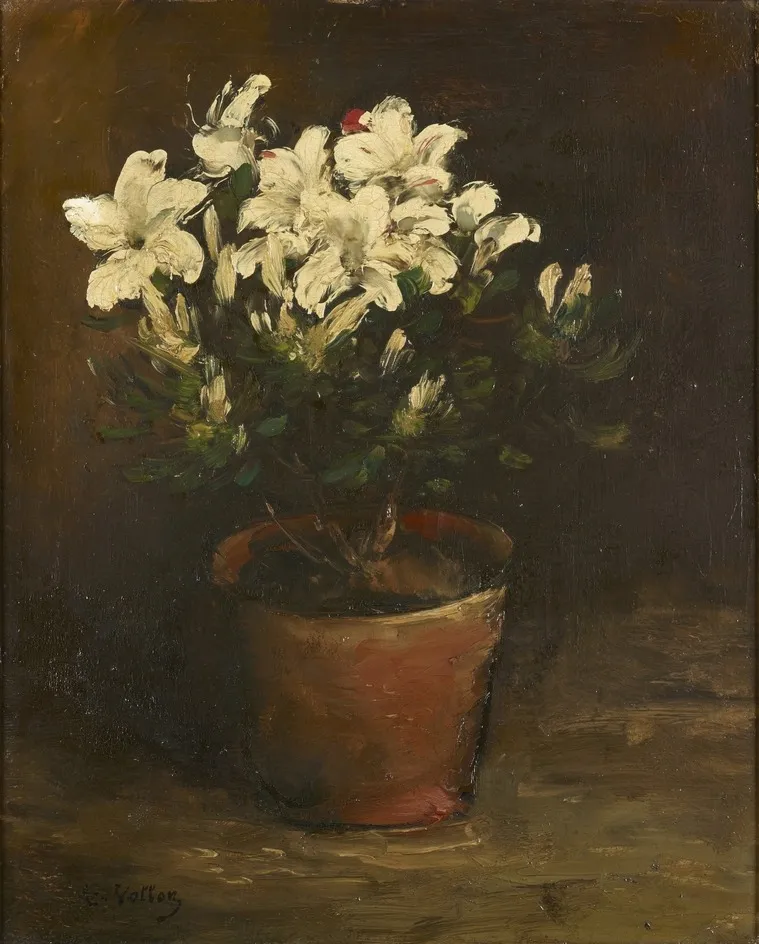 Still Life of white Azaleas, by Antoine Vollon, oil, 1876