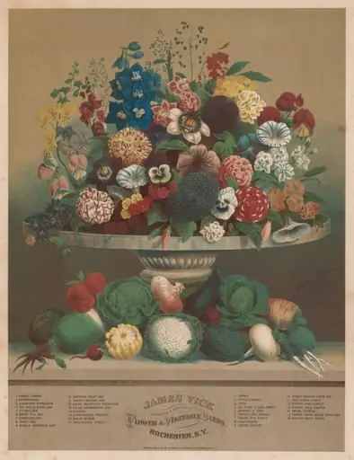 Flowers and Vegetables, by Anton Carl Rahn