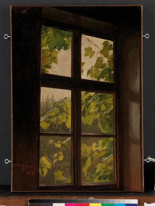 Window