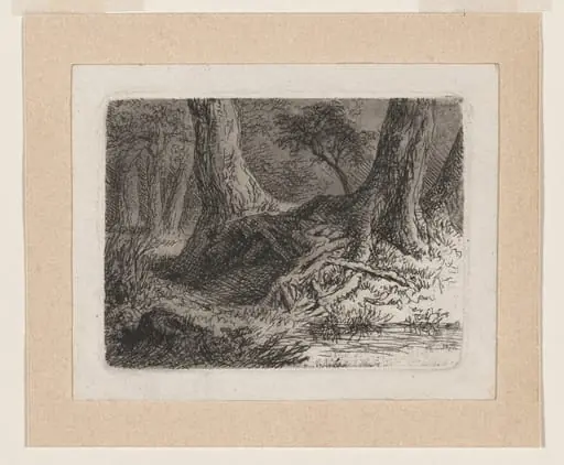 Trees with Tangled Roots, by Anton Kölbl