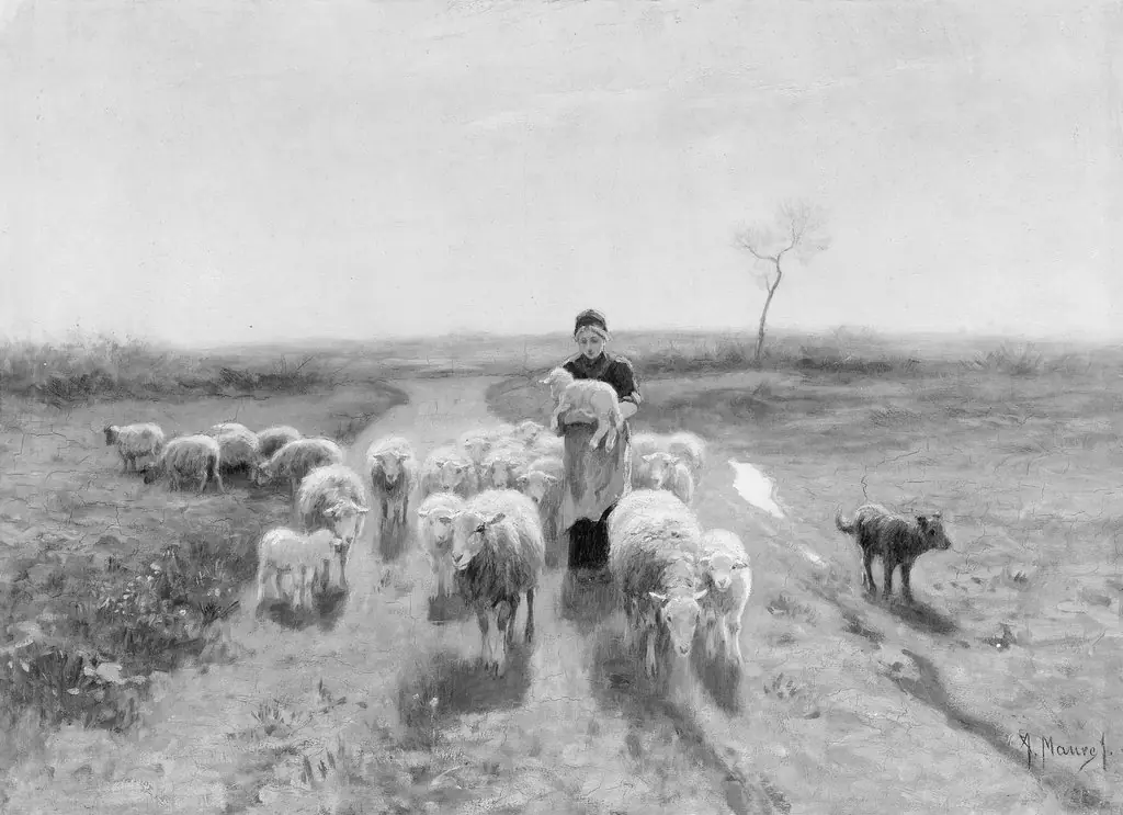A Shepherdess and Her Flock