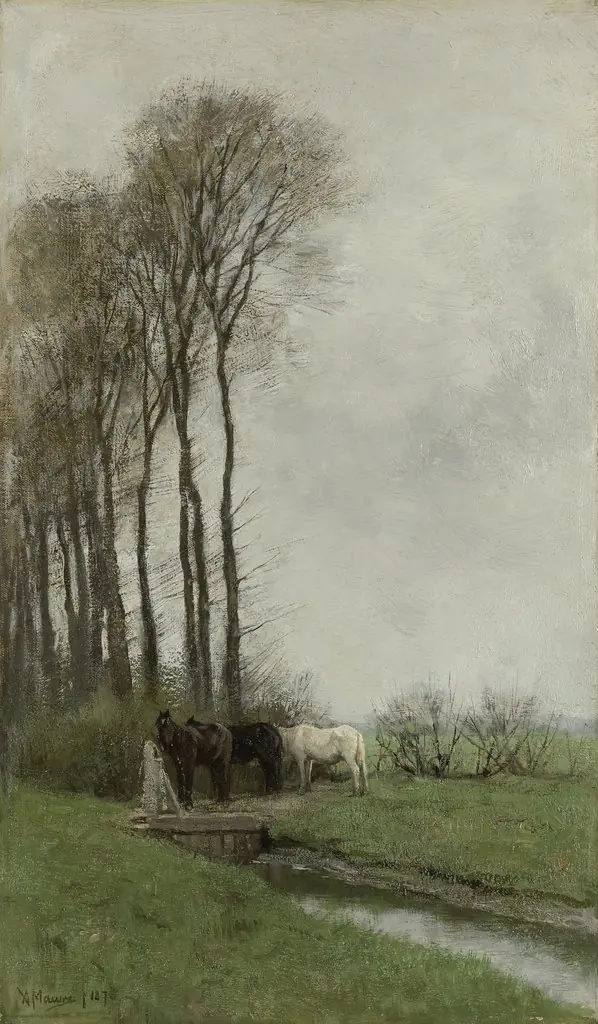 Horses near the fence.