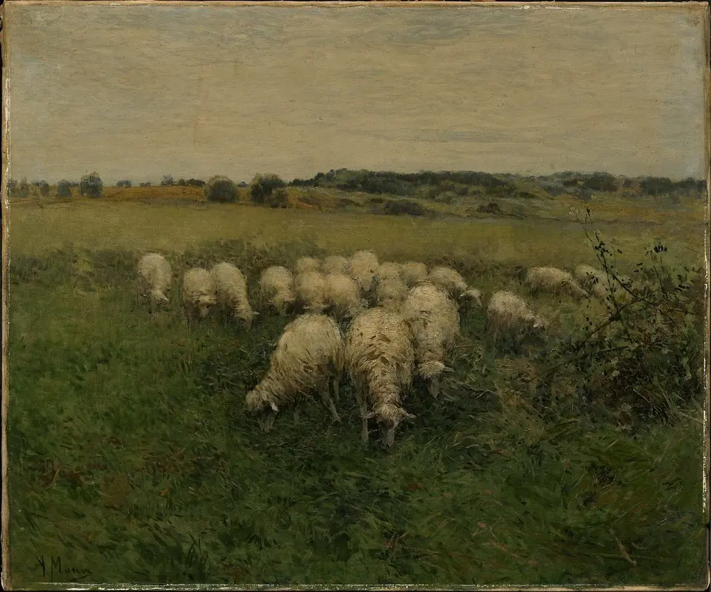 Sheep Grazing in an Open Field, by Anton Mauve