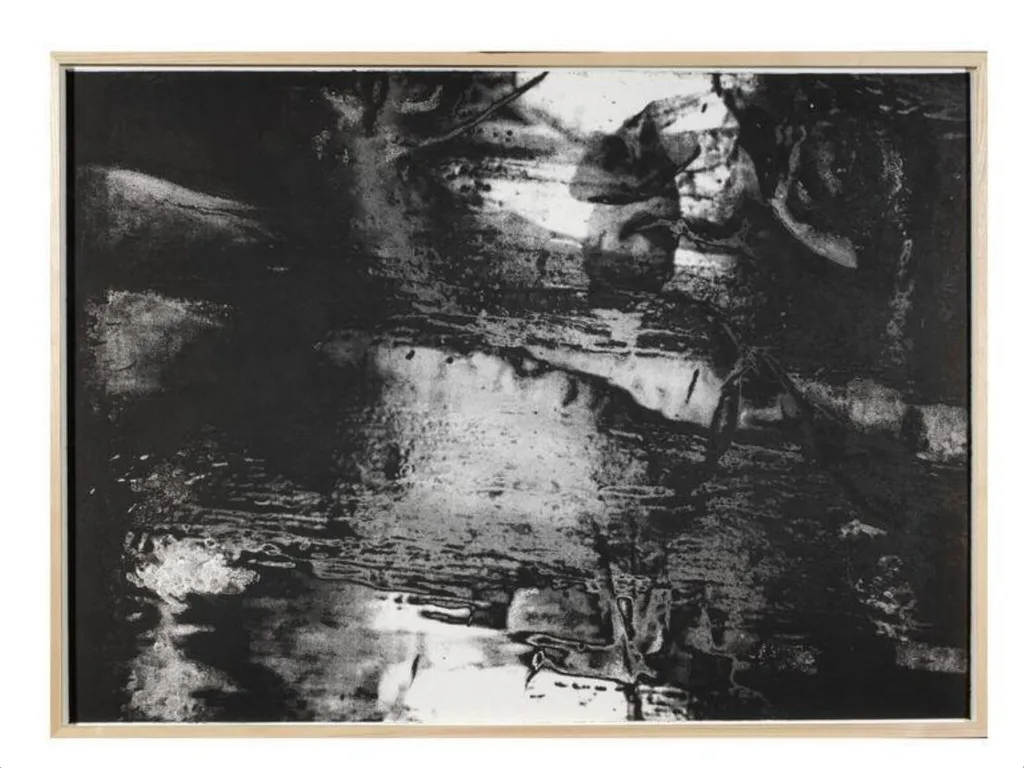 Black Ice, by Anya Gallaccio, 2003