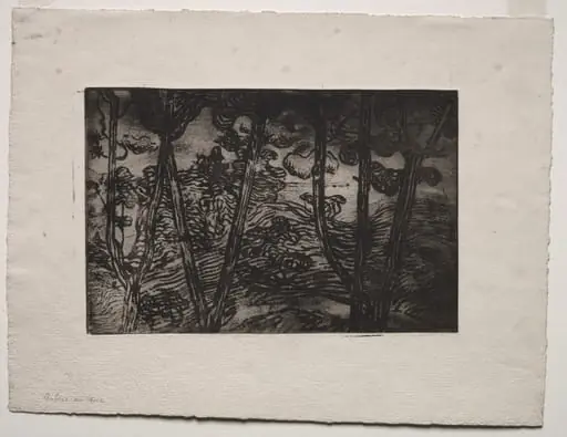Trees at Night, by Armand Séguin