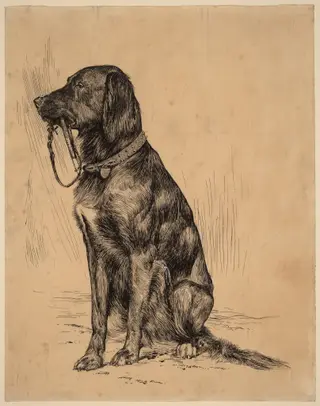 Aldrich's Dog, by Arthur B. Davies