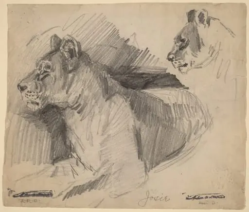 Josie, by Arthur Bowen Davies