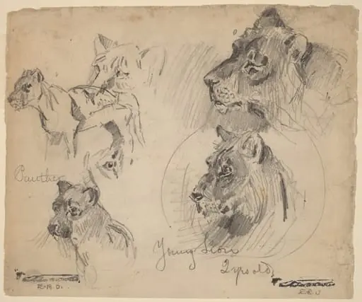 Panther and Young Lion Studies, by Arthur Bowen Davies