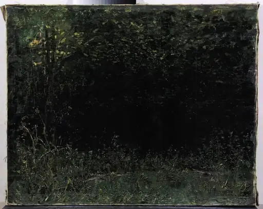 Interior de pădure