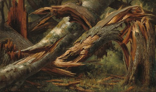 Portrait of Alexandre Calame