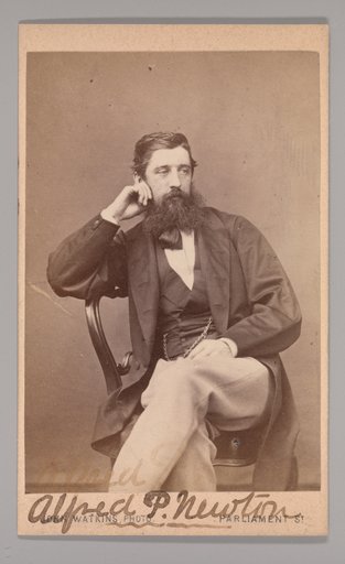 Alfred Pizzi Newton